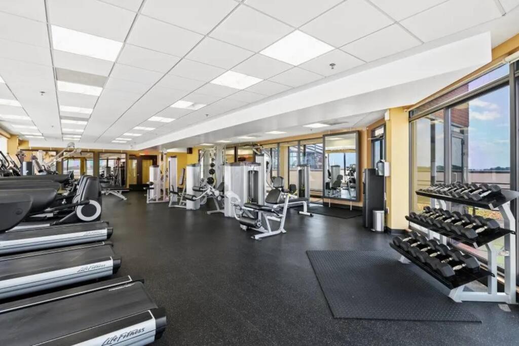 Incredible Apartment With Rooftop In Pentagon City Arlington Dış mekan fotoğraf